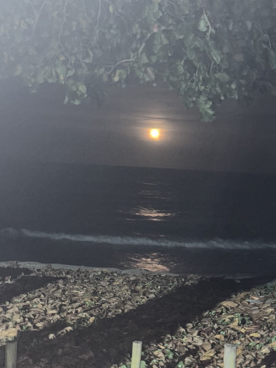 Praia à noite com reflexo da lua